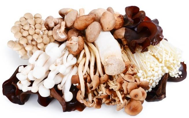 China Mushroom China Mushroom
