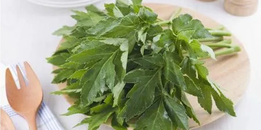 Ashitaba Extract