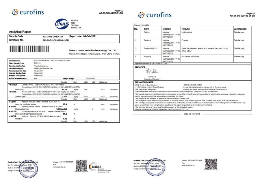PS PowderTest Report 