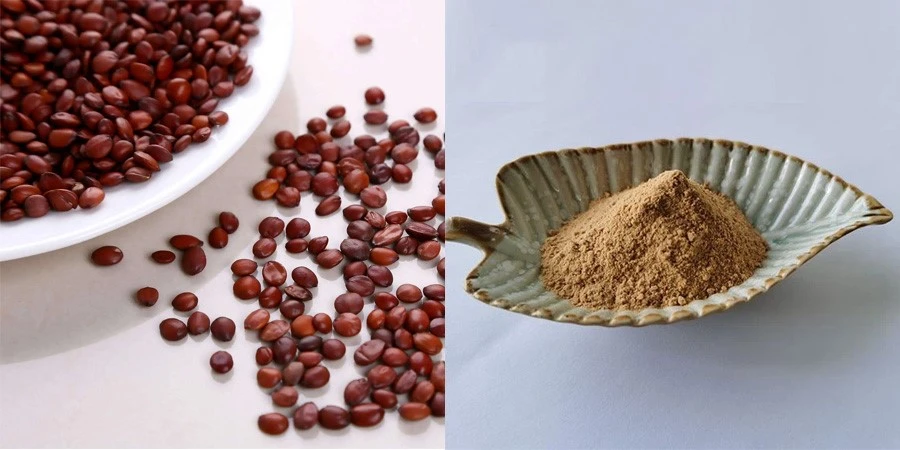 Jujube Extract Jujuboside Jujube Extract Jujuboside