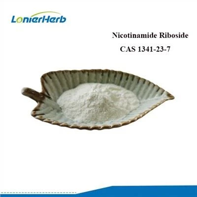 Powdwr Riboside Nicotinamide