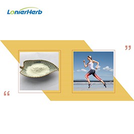 Pam Mae Fitamin K2 Mor Bwysig?